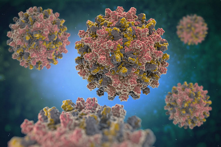 Hev IgM Rapid Test: Memimpin Diagnosis Hepatitis E