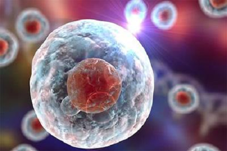 Babio meluncurkan solusi Giemsa Stain B berkualitas tinggi untuk diagnostik sitogenetik dan hematologis lanjut