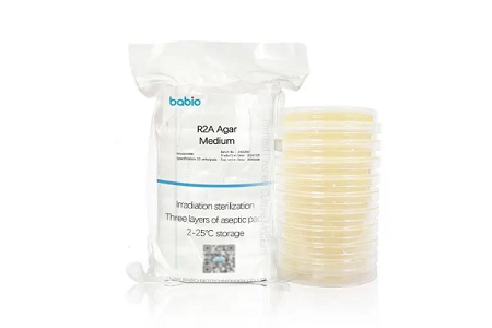 R2A Agar Media: Standar Emas untuk Pemantauan Mikroba di Industri Farmasi, Makanan, dan Kosmetik
