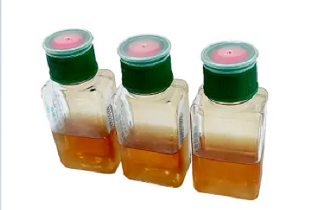 Botol Kultur Darah BABIO Mendukung Deteksi Infeksi Aliran Darah yang Lebih Cepat dan Andal