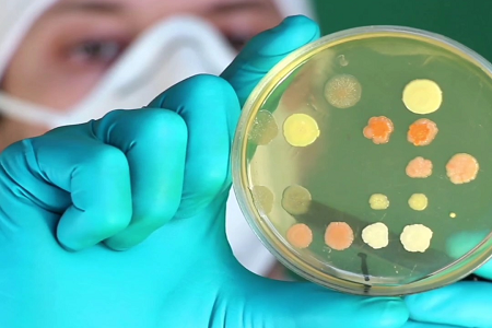 BABIO Meluncurkan Kaldu Kedelai Trypticase (TSB) Premium untuk Mikrobiologi Klinis & Lab Global