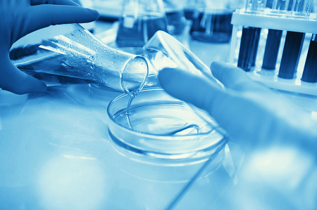 BABIO Nutrient Agar Granule Mendukung Pengujian Mikroba yang Andal di Seluruh Dunia