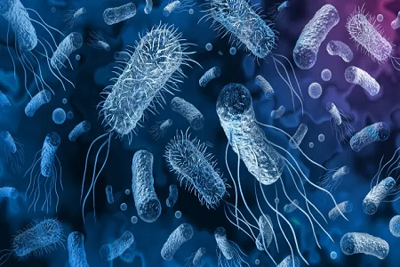 Kit Deteksi Antigen A/B BABIO Influenza Mendukung Pemeriksaan Virus Pernapasan yang Cepat