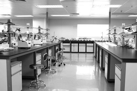 Kabinet Aliran Laminar Vertikal untuk Pekerjaan Laboratorium Bersih