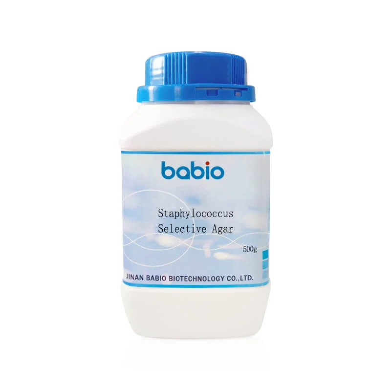 Agar Selektif Staphylococcus